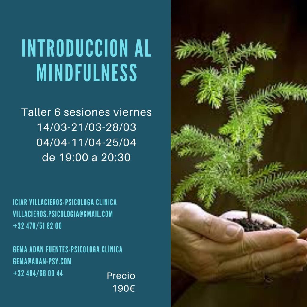 Mind fullness